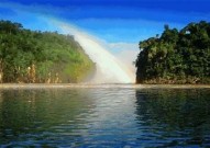 "优美动态图展示：尽览全网美女福利精选"